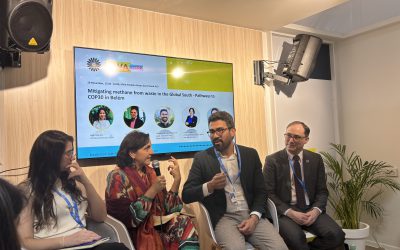 Live from Baku: Tackling Plastic Waste, Open Burning and Food Waste